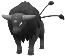 Tauros Paldean Combat